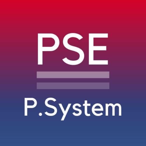 PSystem Engineering